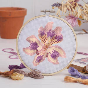 RHS Cross Stitch Kit Peruvian Lily